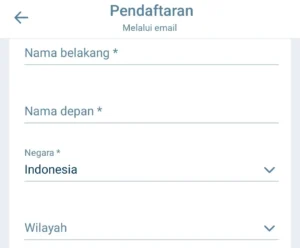 Pendaftaran melalui Email